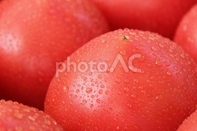 水滴のついたトマトのアップ トマト,水滴,野菜の写真素材