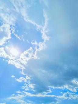 天気雨の空を仰ぐの写真