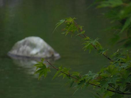 癒しの空間の写真