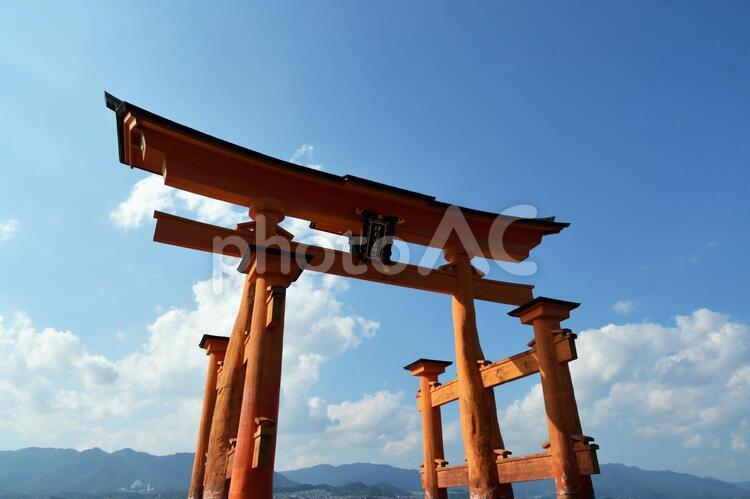 厳島神社　宮島 厳島神社,宮島,鳥居の写真素材