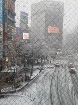 渋谷の雪景色２の写真