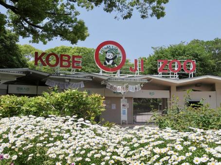 Prince Zoo, prince zoo, zoo, kobe, JPG
