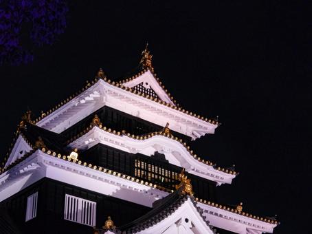 Illuminated Okayama Castle tower, JPG Illuminated Okayama Castle tower, JPG