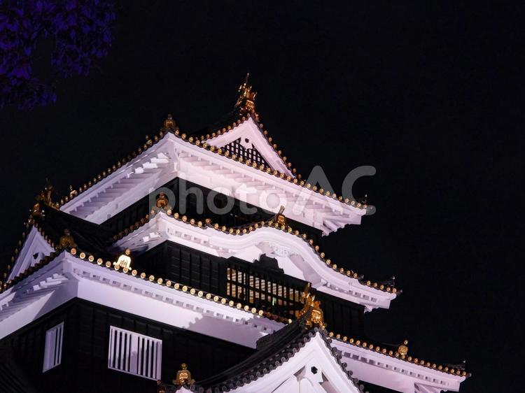ライトアップされた岡山城天守閣 岡山城,ライトアップ,夜の写真素材