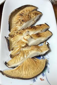 椎茸 椎茸,しいたけ,新鮮の写真素材