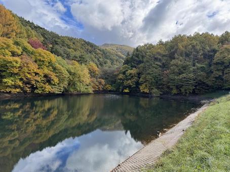晩秋の大沢の堤の紅葉 大沢の堤,信州,松本市の写真素材