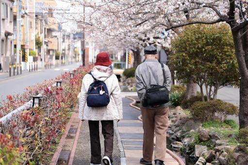 Photo, spring, parents, father, 