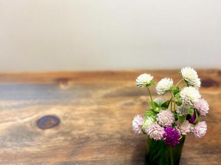 卓上に飾った千日紅 05 千日紅,センニチコウ,草花の写真素材