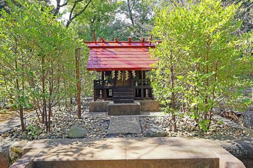 赤坂氷川神社(港) 赤坂氷川神社(港) 赤坂氷川神社,素戔嗚尊,奇稲田媛命の写真素材