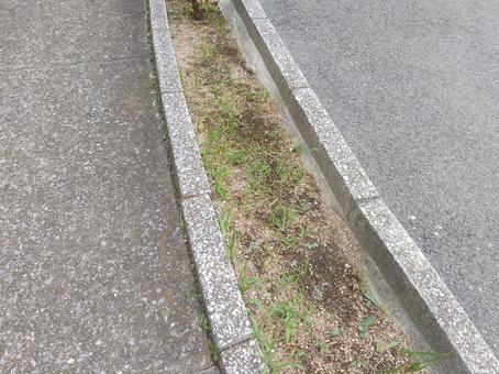 歩道 歩道の写真