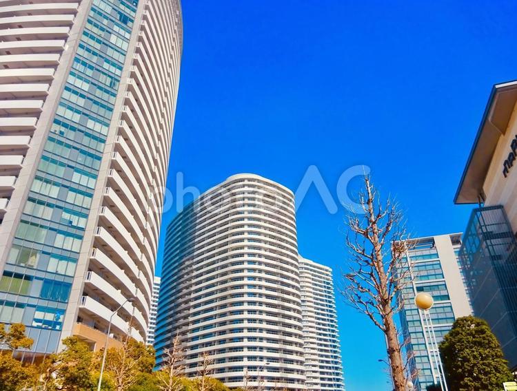 みなとみらいのモダンなビル群と青空 青空,空,ブルースカイの写真素材