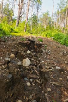 アメリカの林道の地割れ アメリカの林道の地割れ アメリカ,海外,雨の写真素材