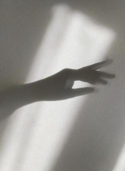 求める 求める 朝,希望,手を伸ばすの写真素材