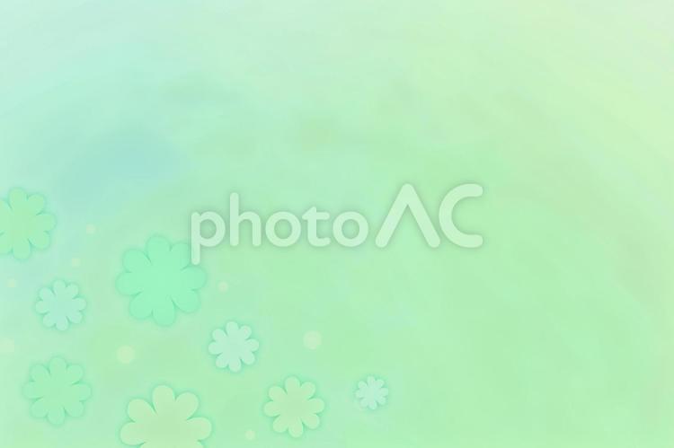 クローバー　横　 クローバー,背景,グラデーションの写真素材