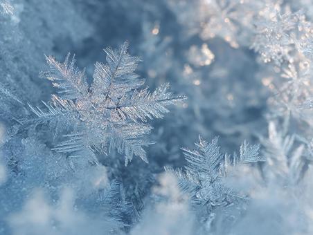 窓に広がる美しい氷の結晶 窓に広がる美しい氷の結晶の写真