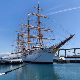 海王丸1 海王丸,海の貴婦人,帆船の写真素材