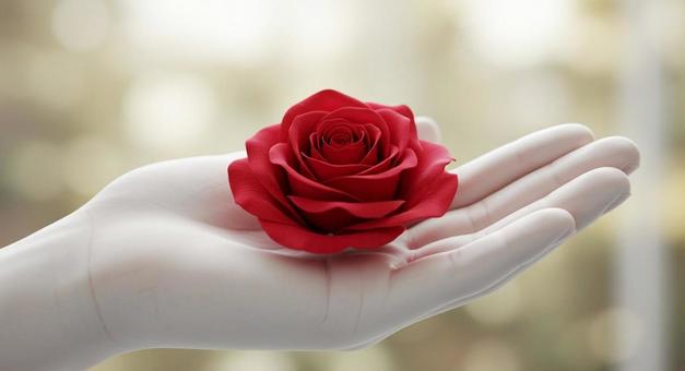 手のひらの上に薔薇 手のひらの上に薔薇の写真