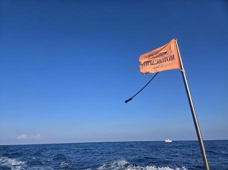 イタリア旅行　カプリ島 カプリ島,イタリア,ヨーロッパの写真素材