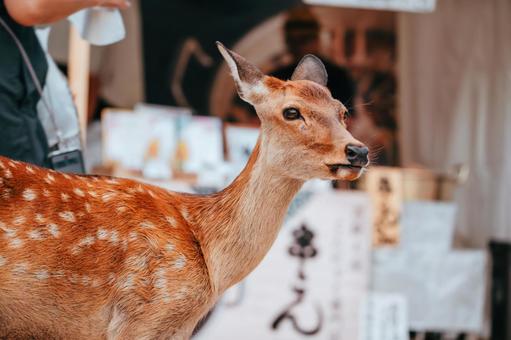 何かのフェスが開催されています 何かのフェスが開催されていますの写真