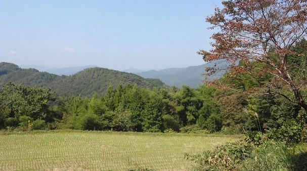 10月 稲刈り後の田んぼ 3 10月 稲刈り後の田んぼ 3 里山,田んぼ,10月の写真素材