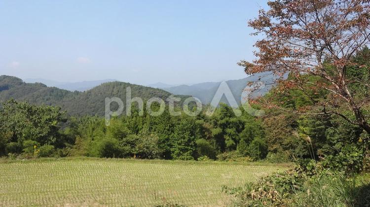 10月　稲刈り後の田んぼ　３ 里山,田んぼ,10月の写真素材