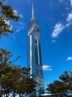福岡タワーと青空 福岡タワー,福岡市,観光スポットの写真素材