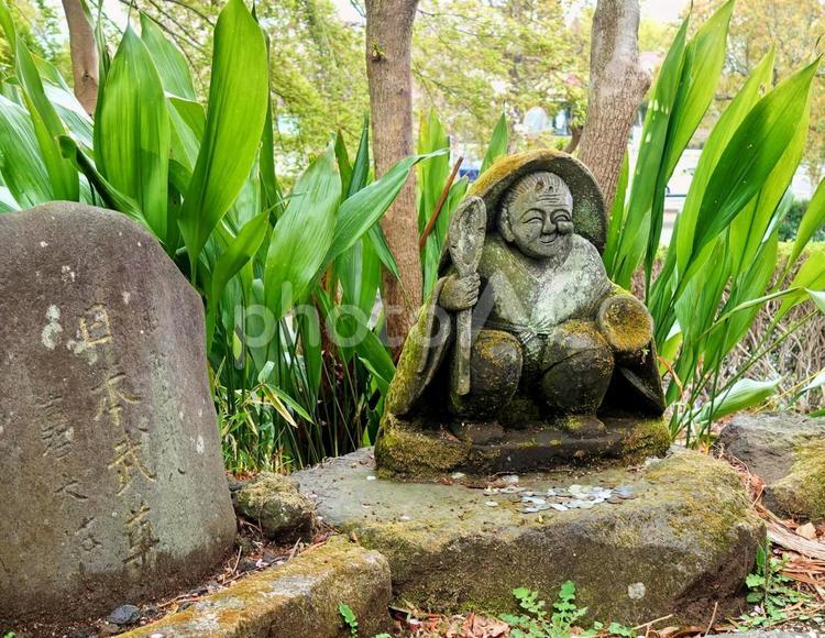 春の神祇大社風景　2025 石造,お地蔵,春の写真素材