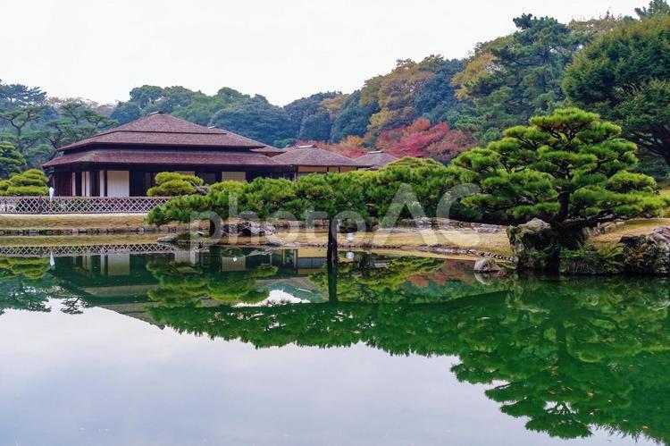 松に囲まれた栗林公園の掬月亭 植物,家,風景の写真素材