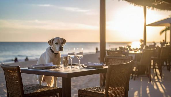 海辺のペット同伴できるカフェと犬 海辺のペット同伴できるカフェと犬の写真