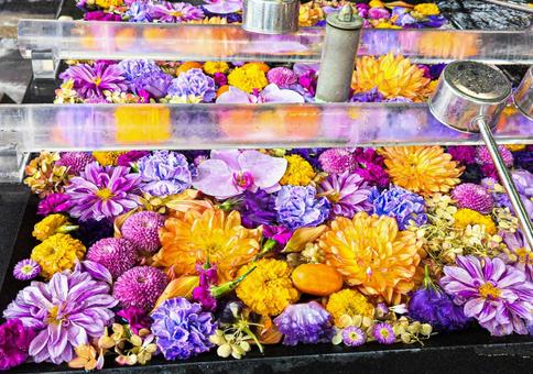 鮮やかな花手水 鮮やかな花手水の写真