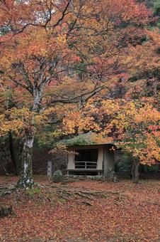 紅葉　吉野山　奥千本　西行庵 紅葉,吉野山,西行庵の写真素材