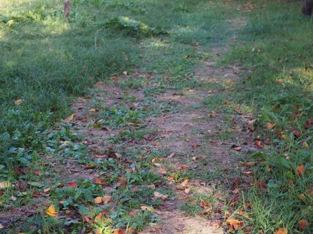 道 道の写真
