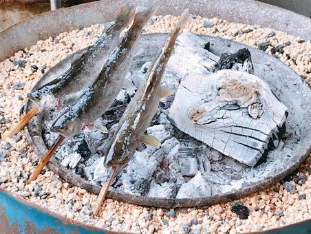 アマゴ塩焼き アマゴ塩焼き アマゴ塩焼き,アマゴ,サツキマスの写真素材