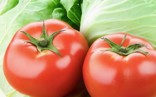 フレッシュなトマトとキャベツ フレッシュなトマトとキャベツの写真