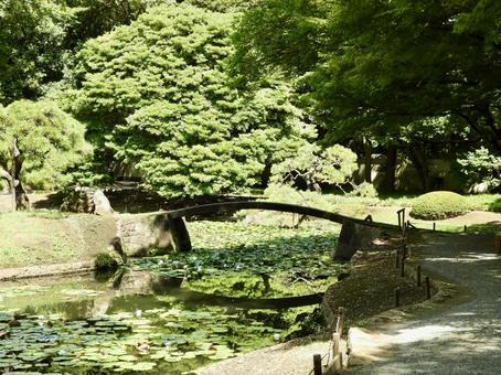 小石川後楽園内庭石橋 小石川後楽園内庭石橋 小石川後楽園,後楽園,庭園の写真素材