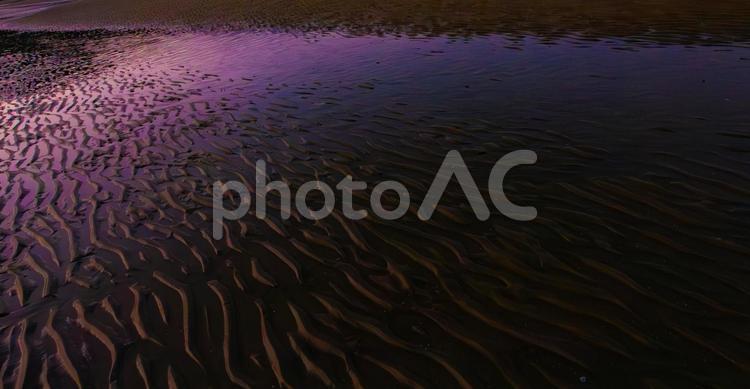 さざめく光と砂の詩 波,浜,朝の写真素材