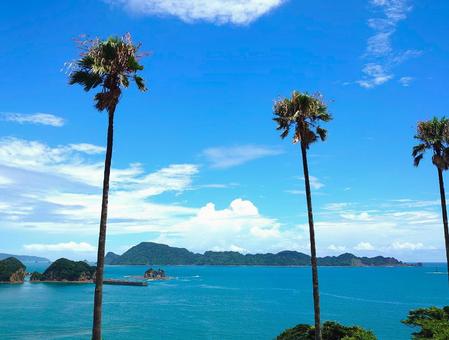 夏のイメージ・宮崎の景色・ヤシの木と海 夏のイメージ・宮崎の景色・ヤシの木と海 夏,イメージ,海の写真素材
