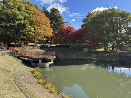 晩秋の小坂田公園の紅葉（長野県塩尻市）の写真