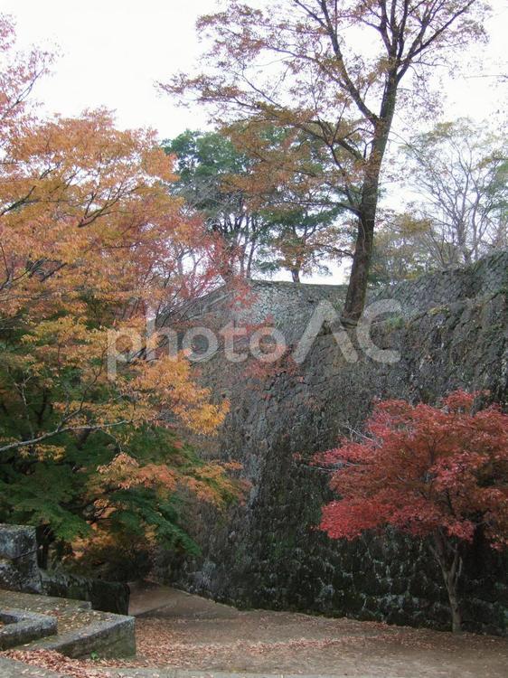 岡城跡（大分県竹田市） 城跡,景色,風景の写真素材
