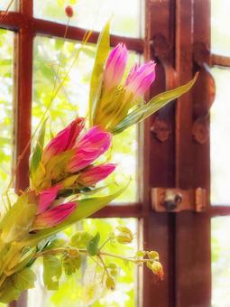 窓際に飾られた花 窓際に飾られた花 花,花瓶,窓の写真素材