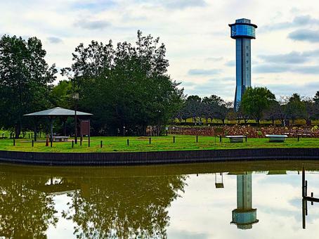 行田タワー(古代蓮会館) 行田タワー,古代蓮会館,古代蓮の里の写真素材