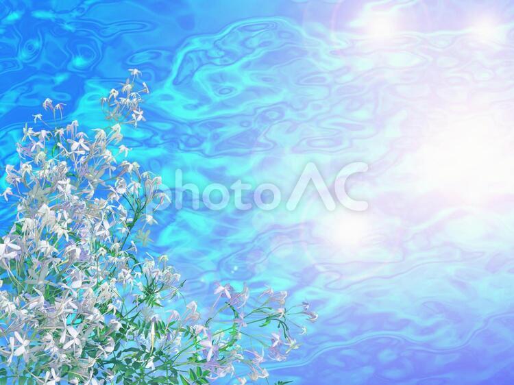涼しげなハーブのイメージ ジャスミン,海,海面の写真素材