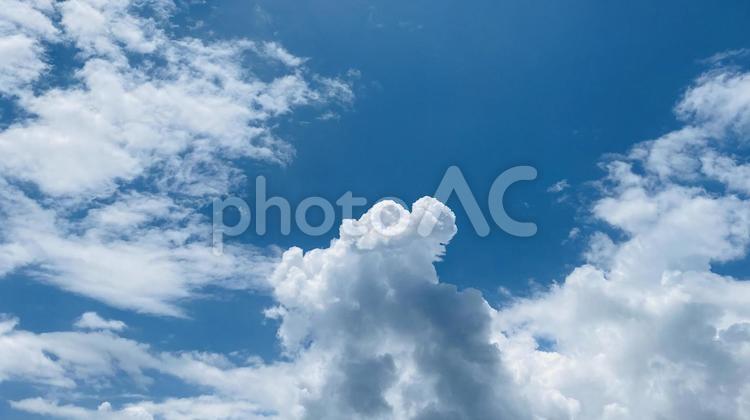 中央でムクムクと湧き起こる積乱雲 夏空,青空,空の写真素材