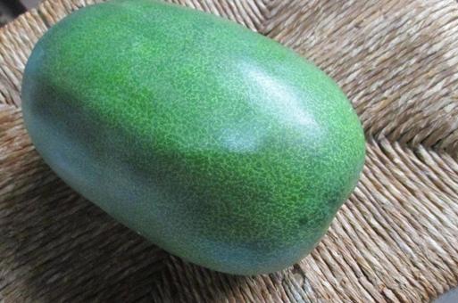 冬瓜 冬瓜,野菜,瓜の写真素材