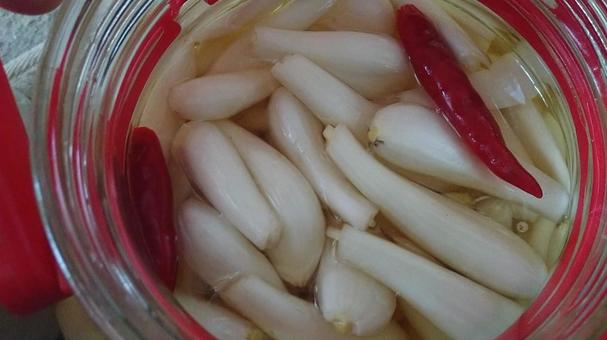 手作りらっきょう らっきょう,甘酢漬け,保存食の写真素材