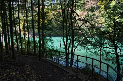白丸湖 白丸湖の写真
