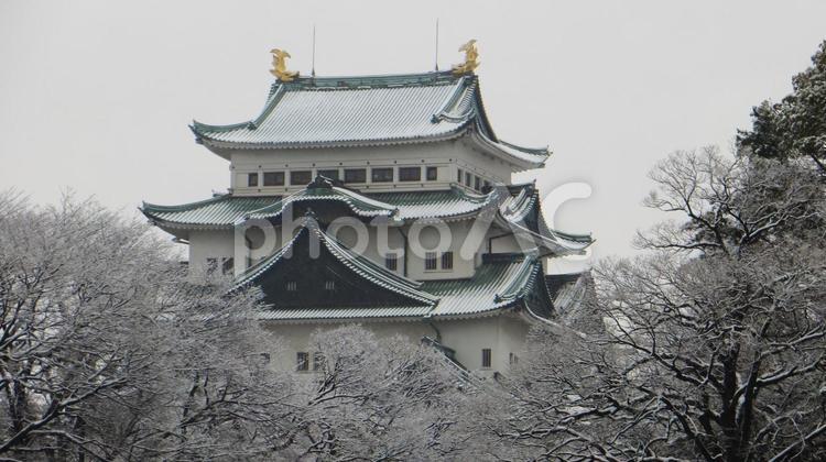 名古屋城　雪化粧した天守閣 名古屋城,天守閣,天守の写真素材