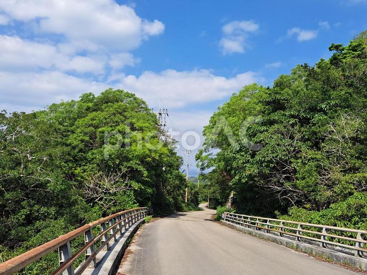 沖縄　石垣島　車道 沖縄,石垣島,車道の写真素材