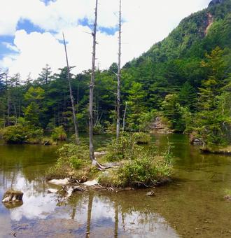 上高地02 上高地02 上高地,長野県,自然の写真素材
