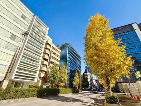 イチョウ並木と都心のビジネス街と青空 青空,空,ブルースカイの写真素材